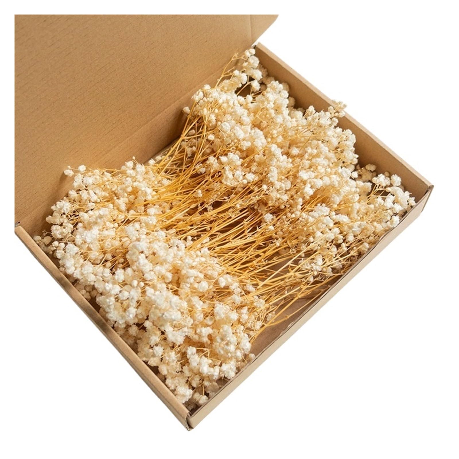WJIAYAO dried gypsophila flowers 100pcs Mini Dried Baby's Breath Flowers Dry Flower Gypsophila DIY Aromatherapy Wedding Party Photo Deco(Color2)
