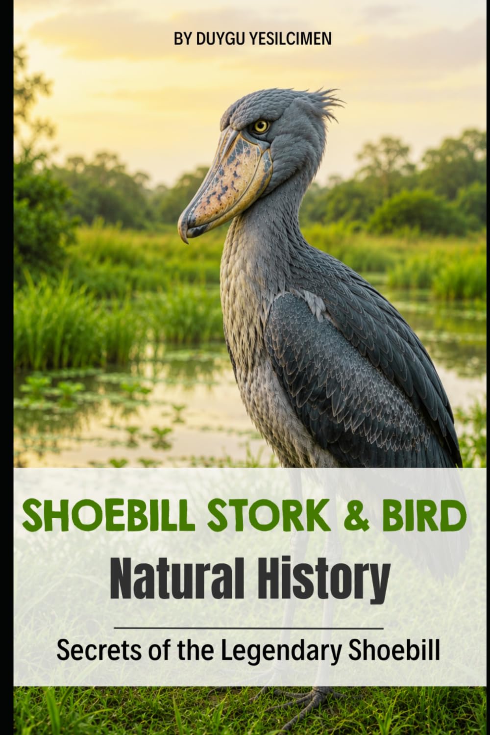 Shoebill Stork & Bird Natural History: The Hidden Life, Behavior, Natural History, and Remarkable Survival of Africa's Most Mysterious Bird