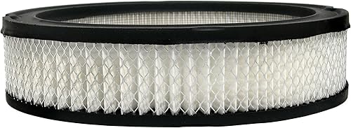 ACDelco Gold A117C (05647255) Filtro de aire