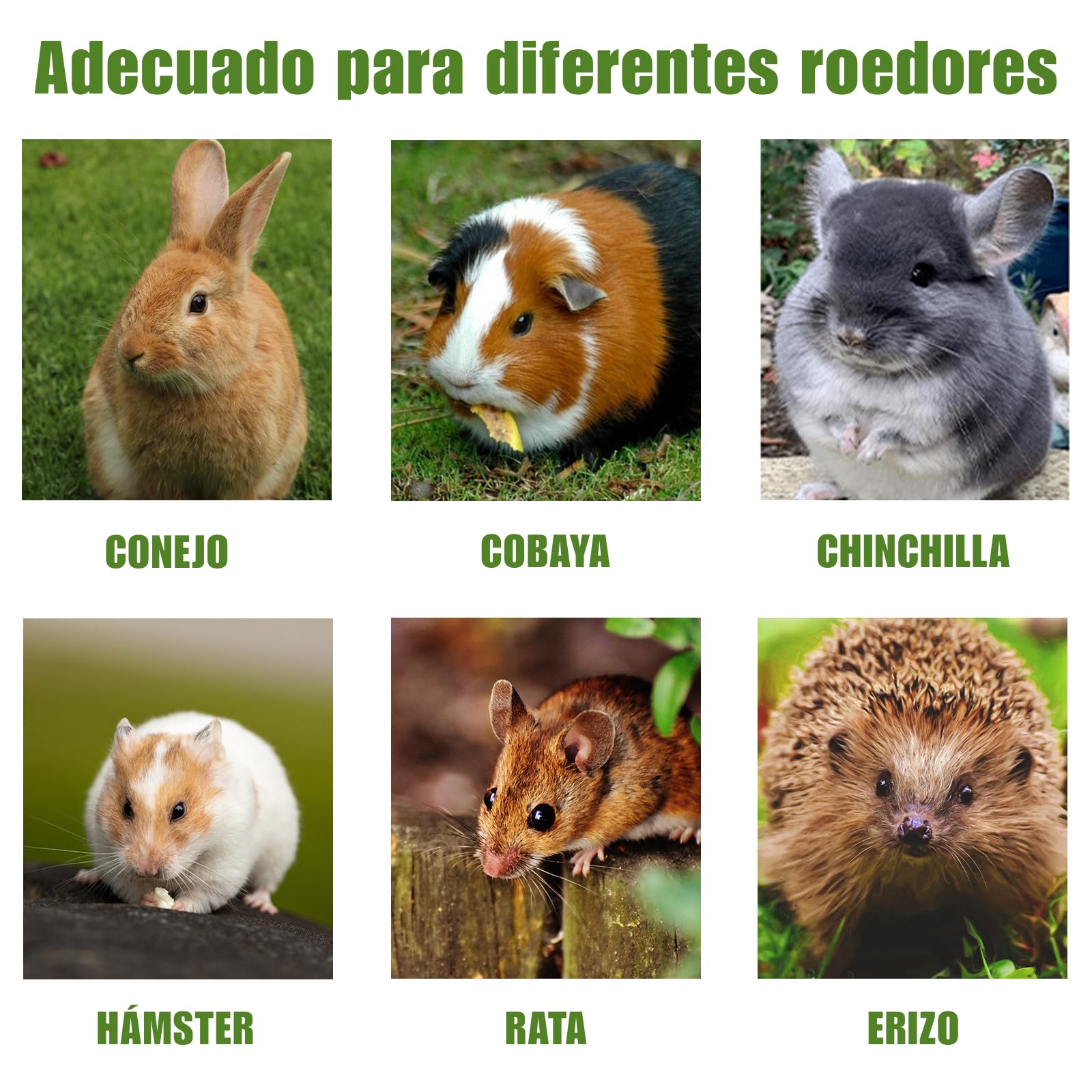 Juguetes Masticar para Conejos, Palitos de Heno Timothy para Conejos, Cobayas, Hámsters, Chinchillas (20 Unidad)