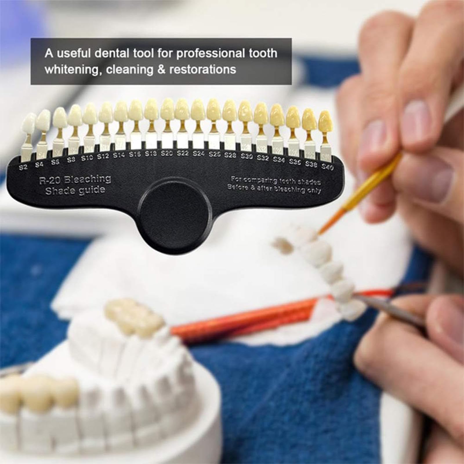 Amazon.co.jp: 歯科シェードガイドプロフェッショナル 3D R-20 歯の