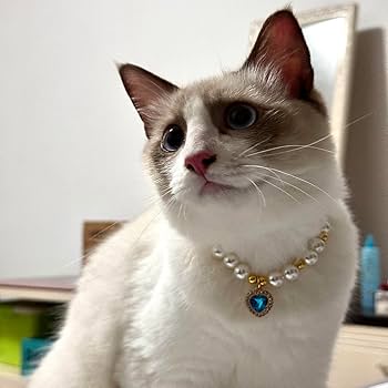 Amazon | 猫首輪 猫の首輪 ペットパールカラー ペット 犬の真珠