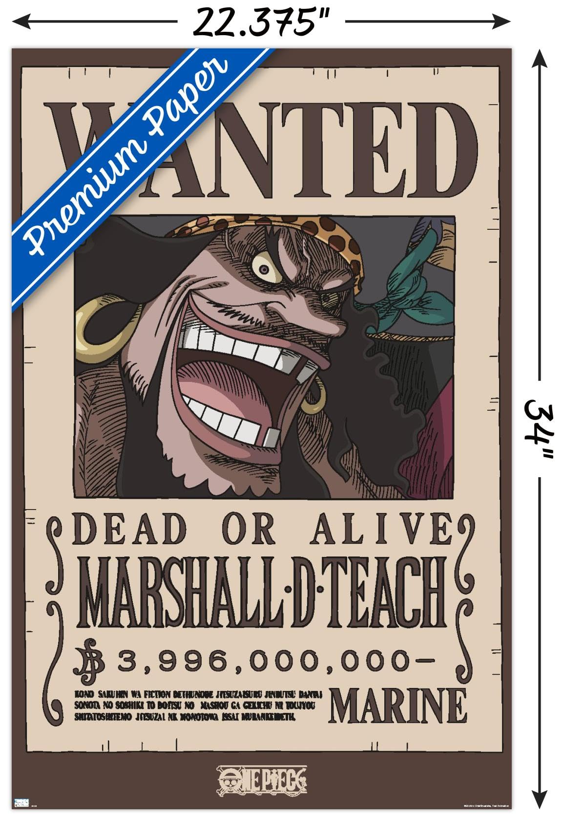 Amazon.com: Trends International One Piece - Black Beard Wanted