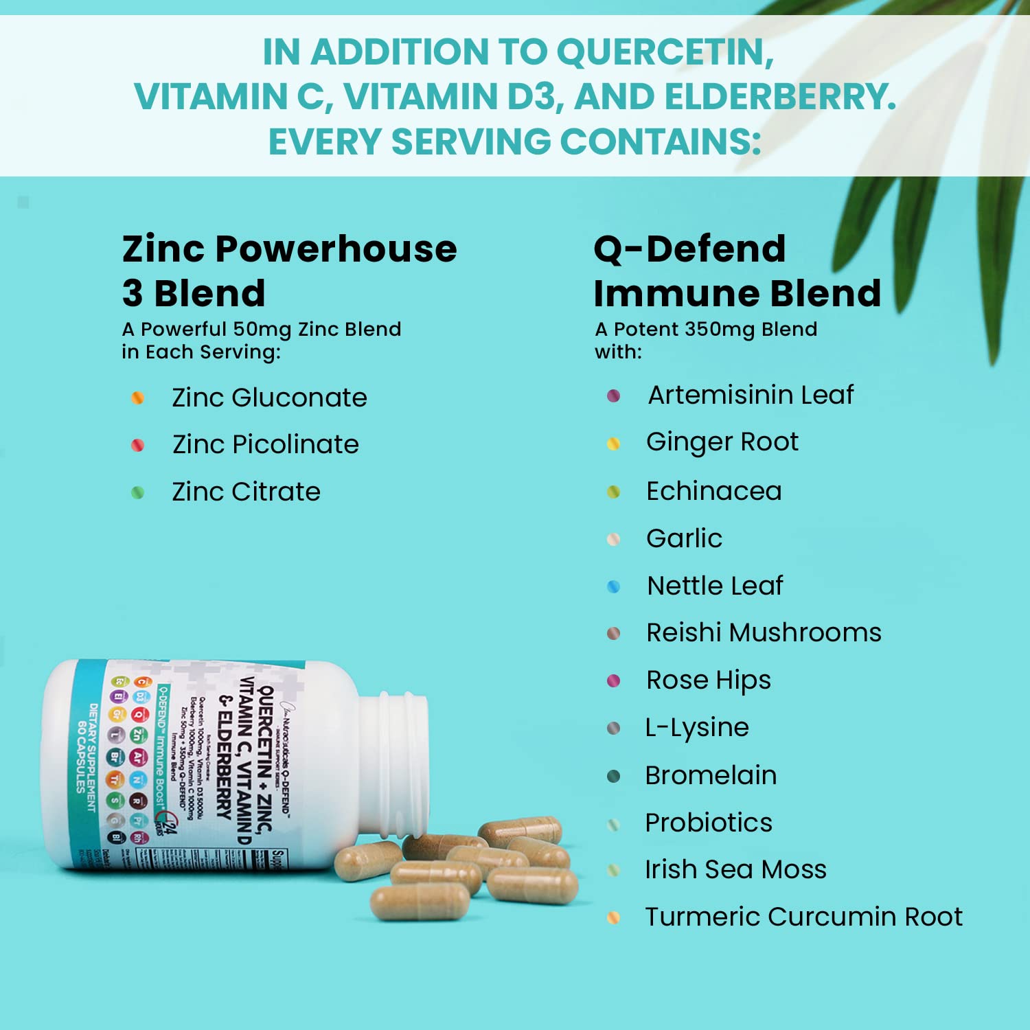 1200MG Quercetin with Vitamin C & Zinc - Natural Immune Support Supplement