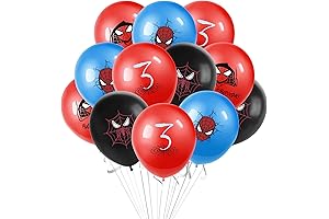 Spiderman Superhero Birthday Party Decorations