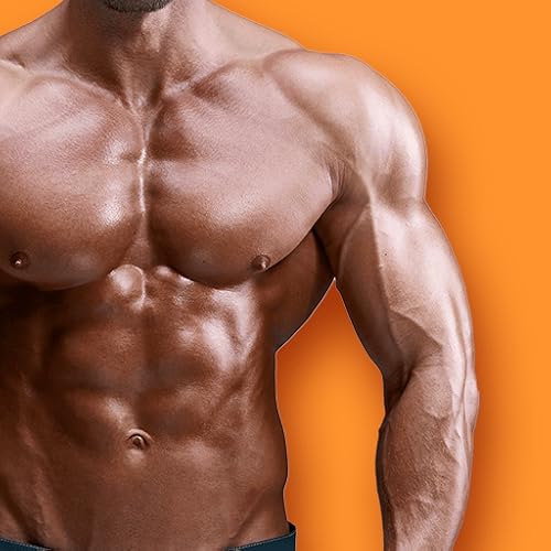 Plano de treino musculação