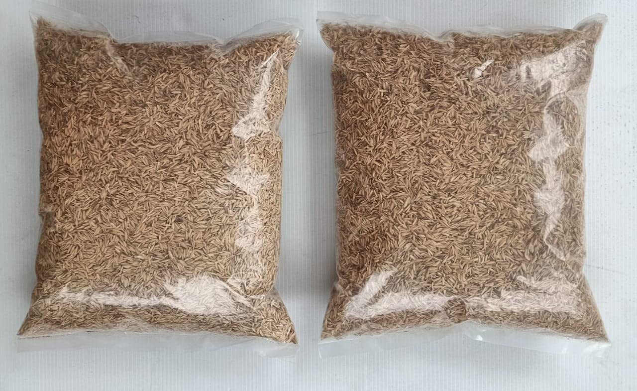 Bokashi Bran Rice Hulls-Paddy Husk - Natural Organic Rice Hulls / Paddy Husk-House Plants -Gardening -Chicken Bedding Nesting.(1Kg) (B095PMXSGX) Amazon Price History, Amazon Price Tracker