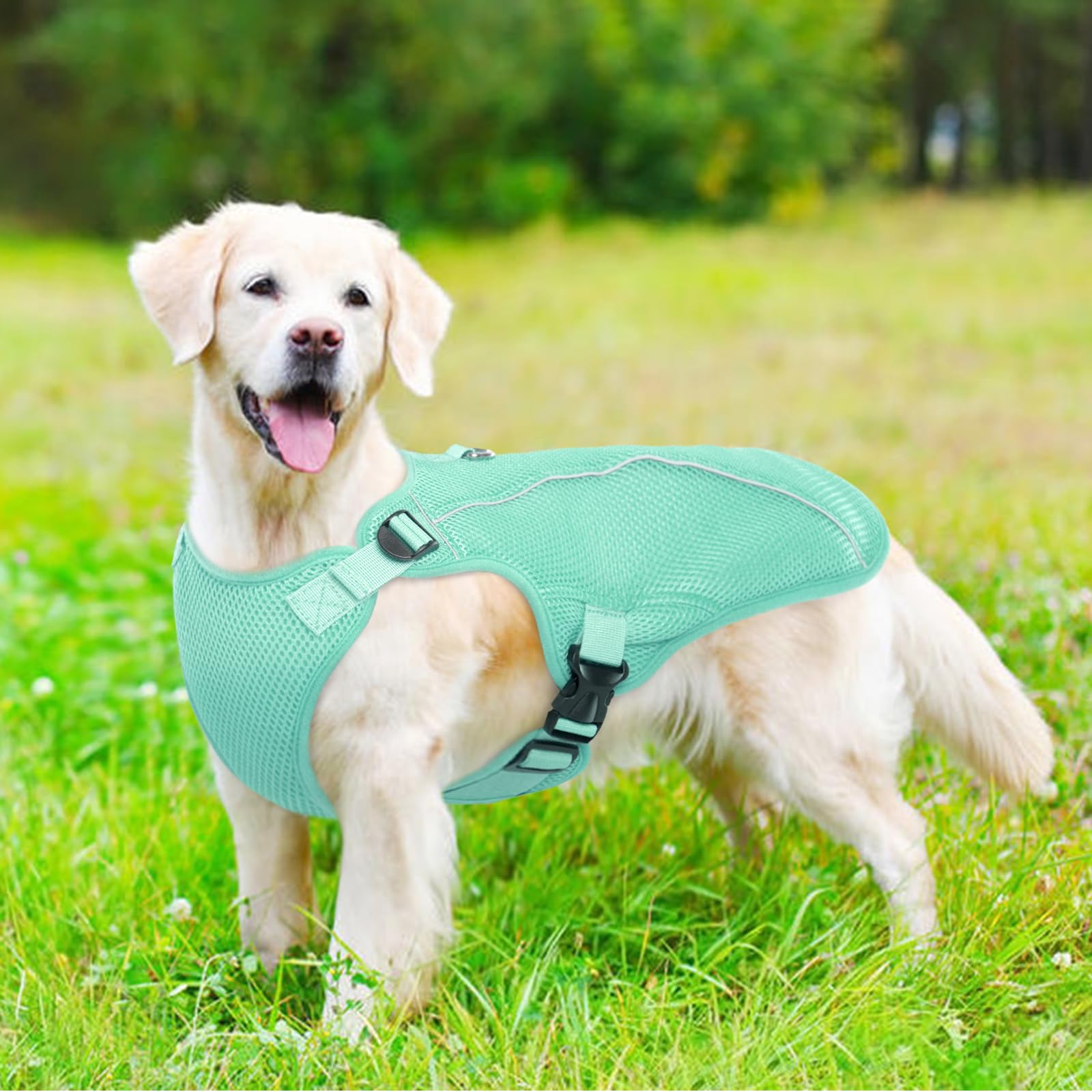 Kuoser Hund Kühlweste, Kühlweste für Hunde zur Abkühlung im Sommer, Atmungsaktive Hundekühlweste mit Hitzeschutz & Sonnenschutz, Outdoor Cooling Vest Dog, Grün M