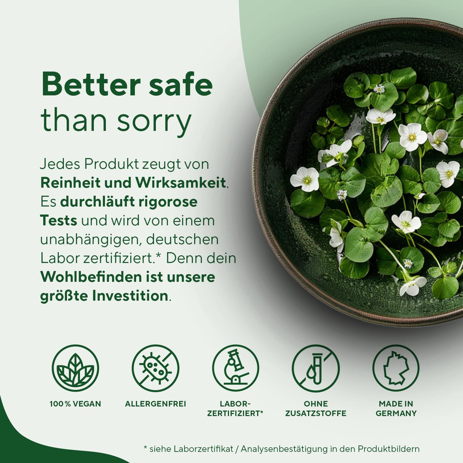 Bacopa Monnieri Brahmi - Hochdosiert: 1.500mg mit 2,5% Bacoside - Big Pack: 360 Kapseln - Brahmi Kapseln Bio, Kleines Fettblatt - Ayurveda, vegan - Ohne Zusätze - TRUE NATURE