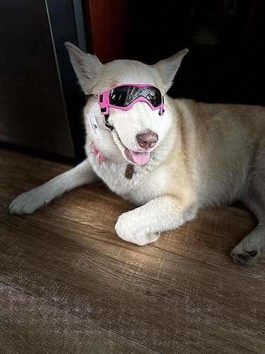 Miniatura 2 de Gafas de sol para perros pequeños o medianos, impermeables, resistentes al viento, resistentes al viento, para razas pequeñas y medianas (rosa)