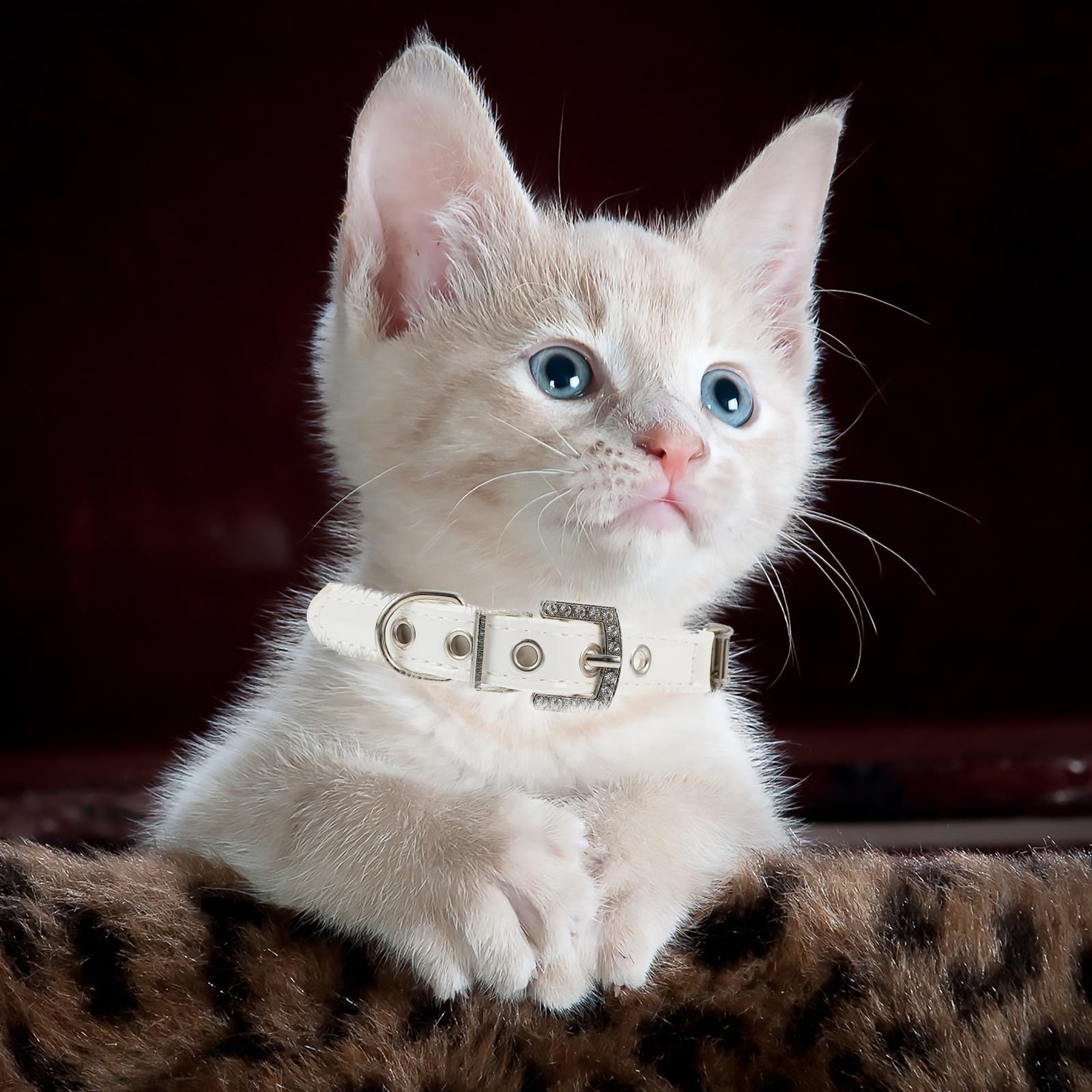Outanaya Set 2 Pezzi Collare e Guinzaglio per Cani Cuccioli in Pelle Pu Perle Flessibile Colore Bianco per Foto e Matrimoni