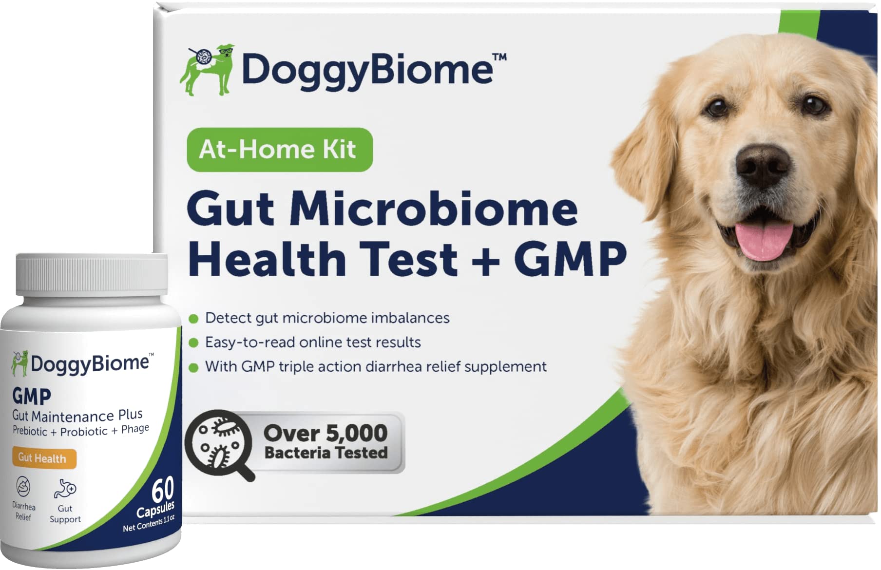 How Did My Dog Get E Coli