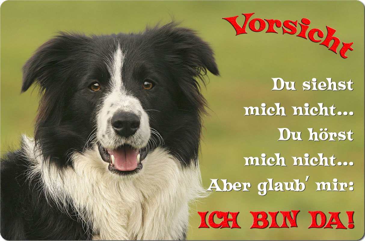 BORDER COLLIE Warnschild – Metall, 30,5x20 Cm (A4) – Hundeschild Mit Optionalen Befestigungslöchern