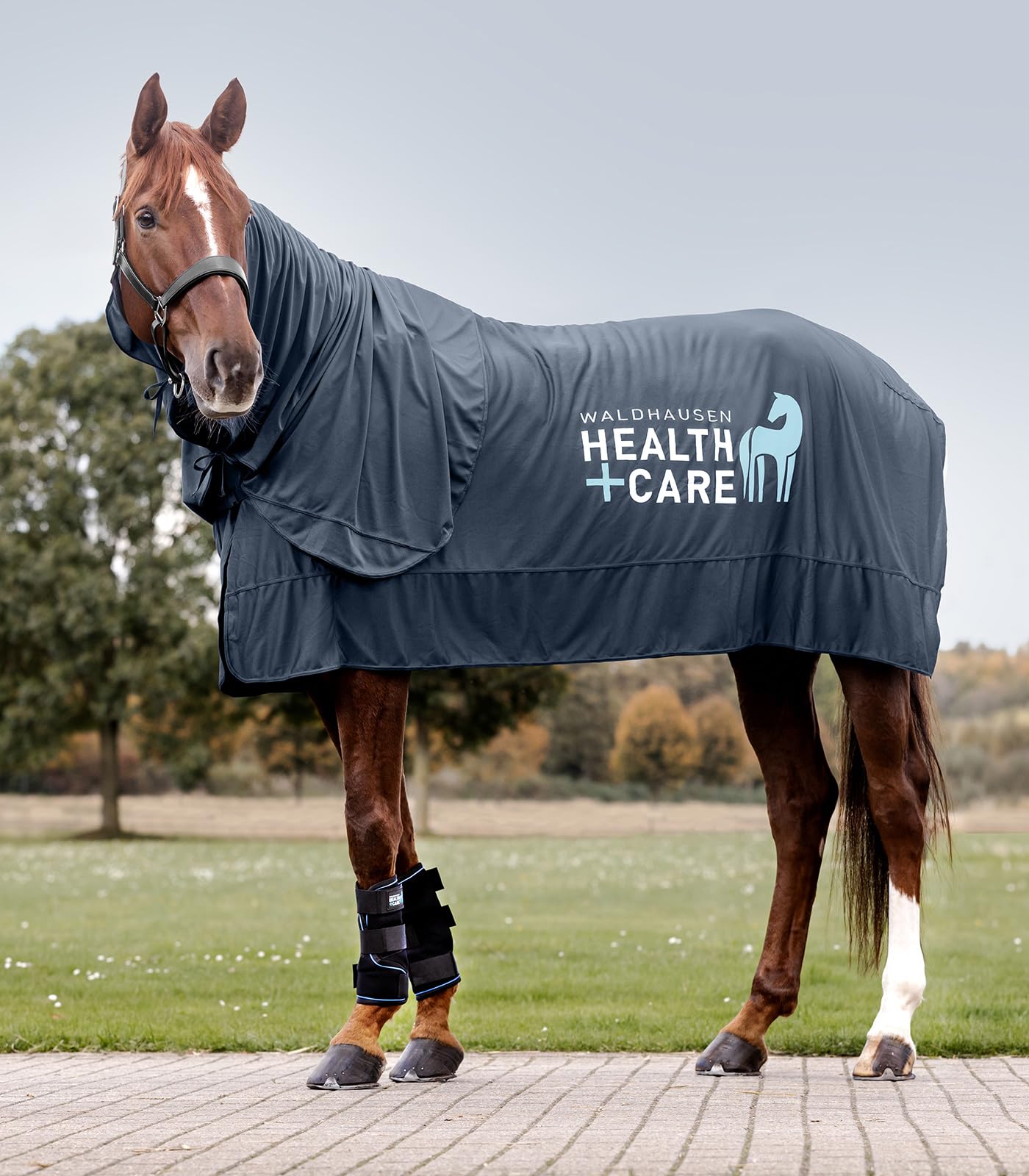 WALDHAUSEN Health + Care Ice Layer Gamasche, Gr. L