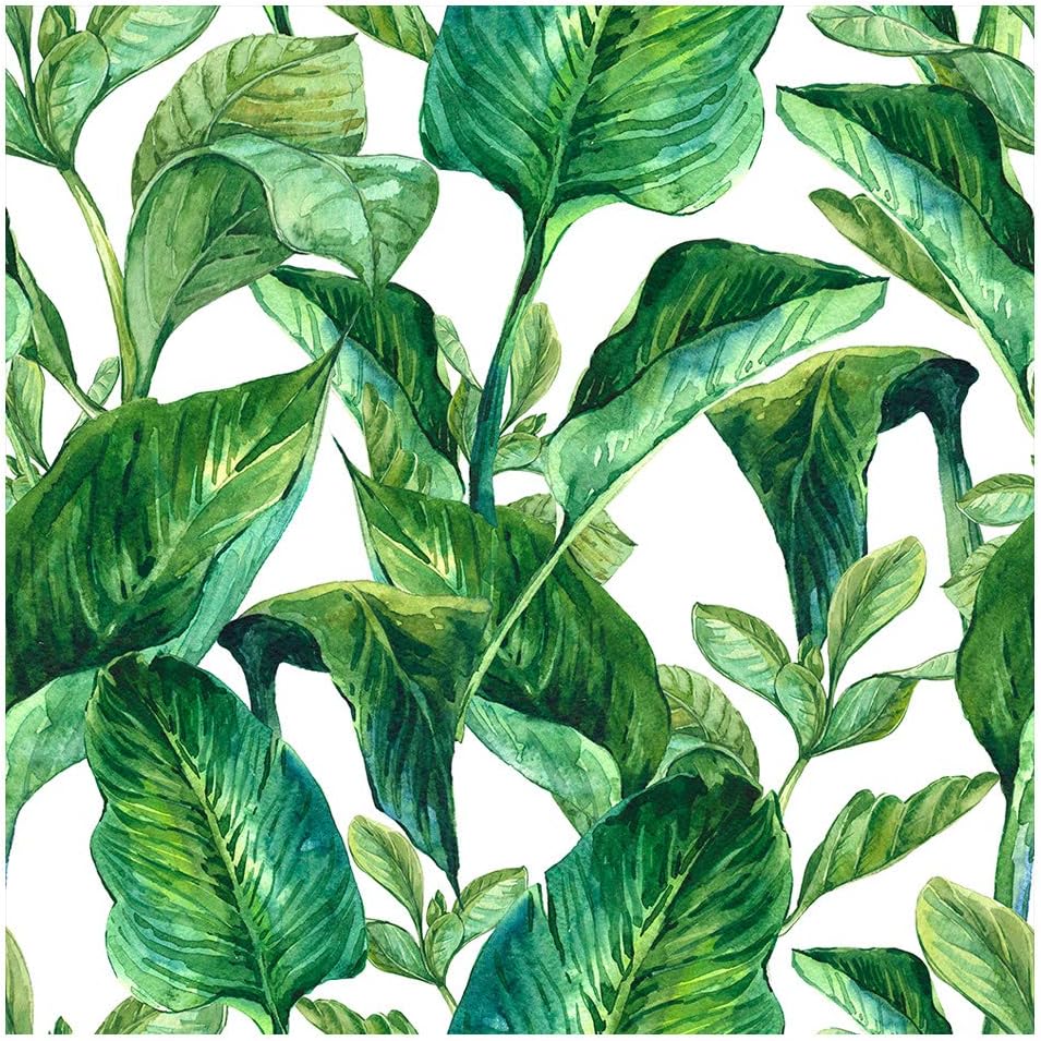 murando Wallpaper Tropical Leaf 10m / 394" Roll of Fleece Wall Paper Non-Woven Premium Art Print Design Decorative Panel Photo Picture Image Nature Green White b-B-0317-j-a
