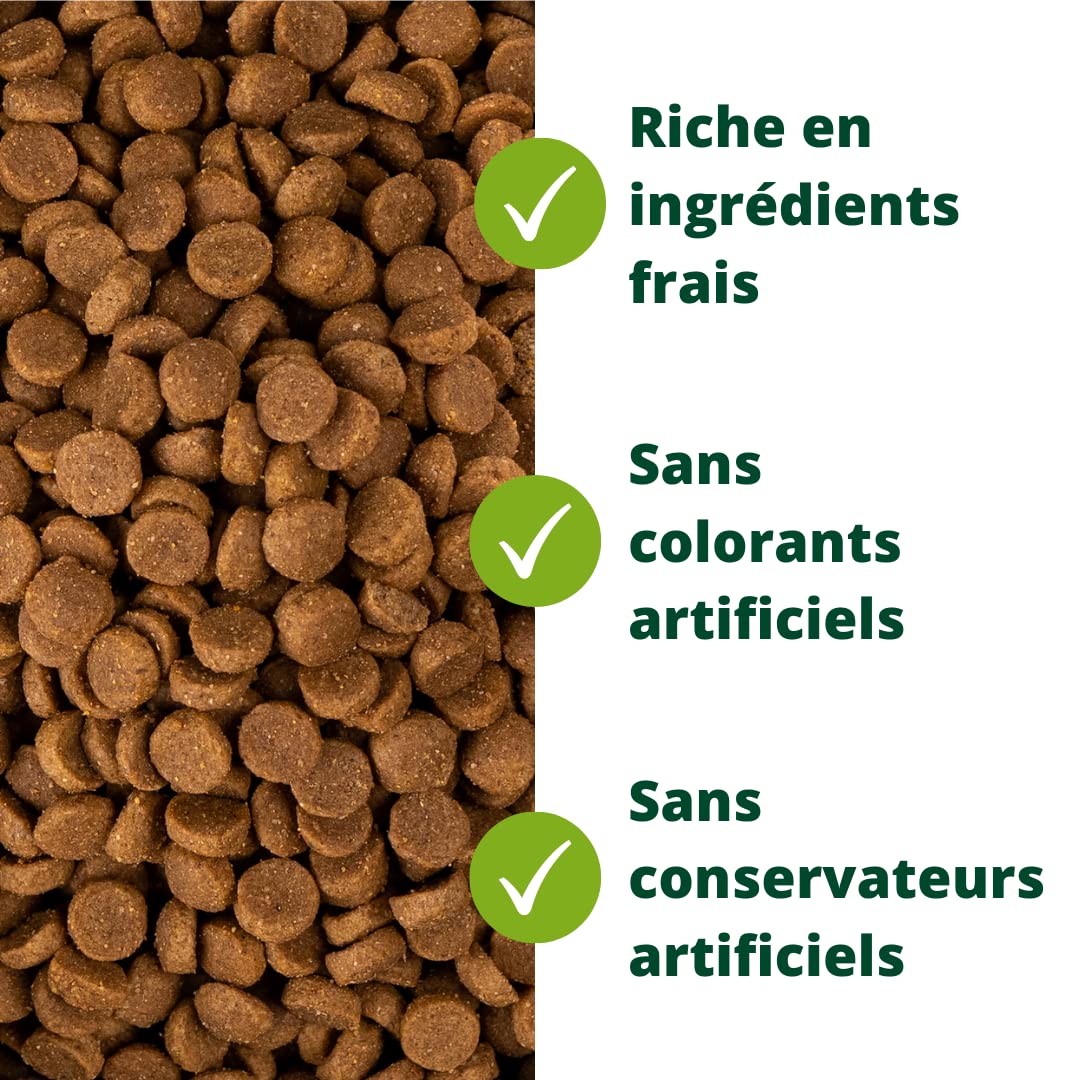 EQUILIBRE & INSTINCT - Chien Adulte - Petite Taille - Croquettes à la Volaille - Solidité des Os - Recette Complète Formulée avec des Vétérinaires - 5kg - Fabriqué en France