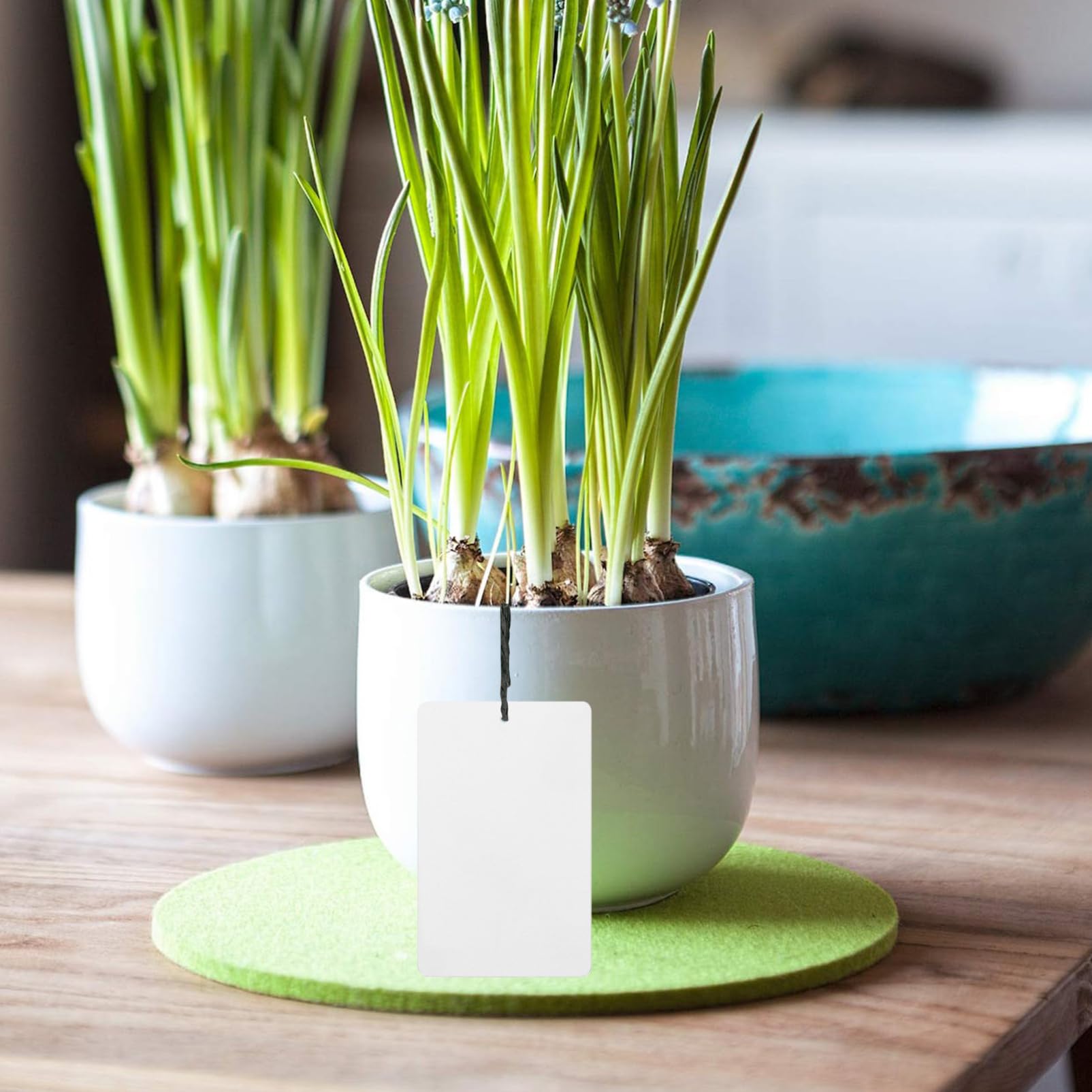 BESPORTBLE 100stücke Aluminiumpflanzenschilder Wetterfeste Pflanzenetiketten Für Garten Blumen Und Bäume Leicht Tragbar Und Wiederverwendbar Für Gartenliebhaber