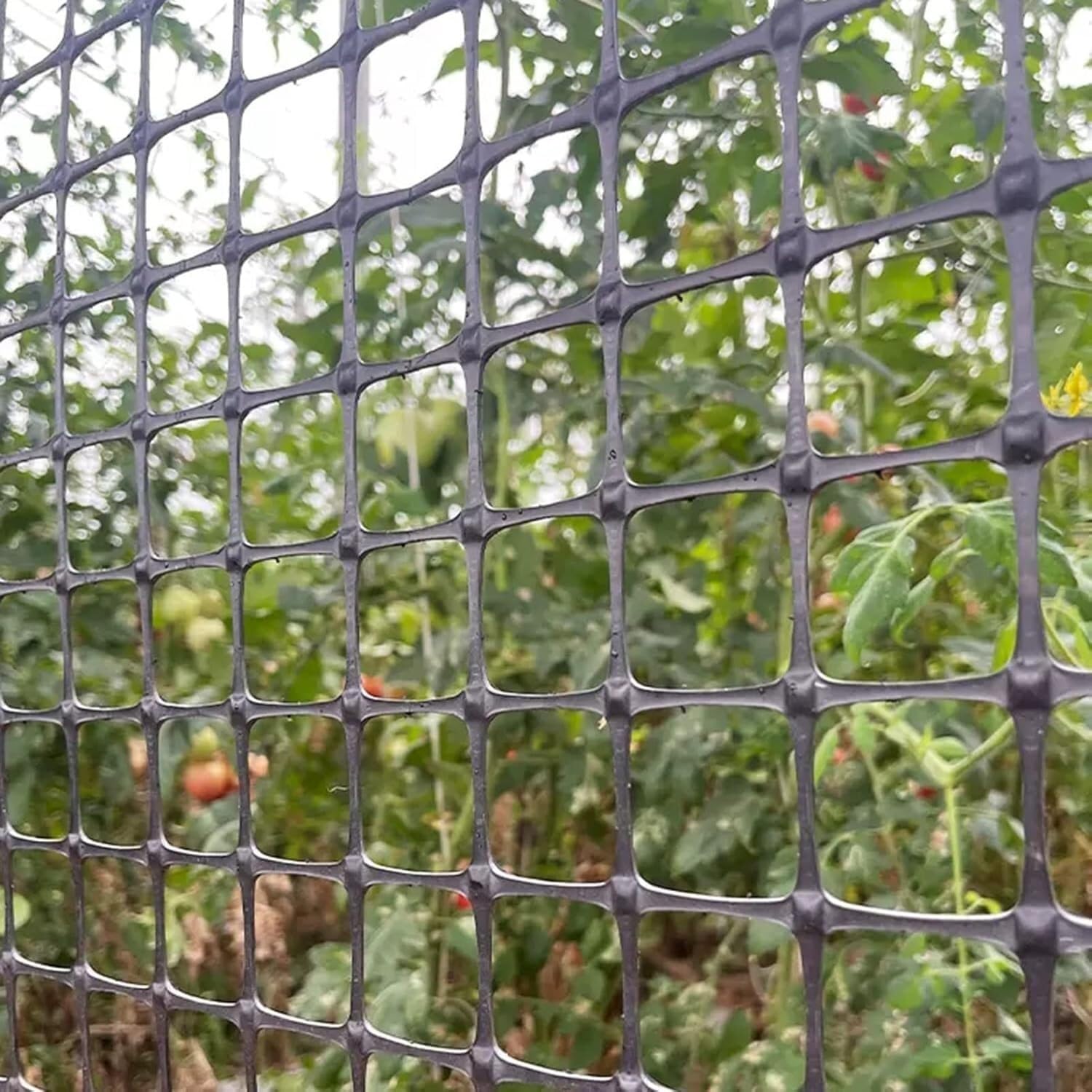 Clôture pour chien et lapin protégeant le potager des animaux 1.2x50m