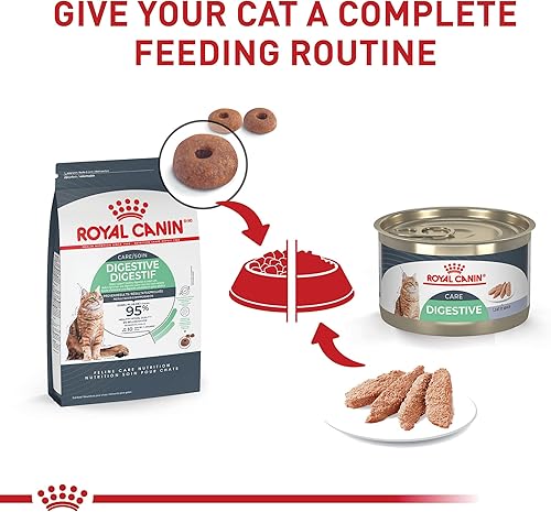 Miniatura 5 de Royal Canin Feline Care Nutrition - Pan de cuidado digestivo en salsa en lata para gatos, lata de 5.1 onzas (24 unidades)