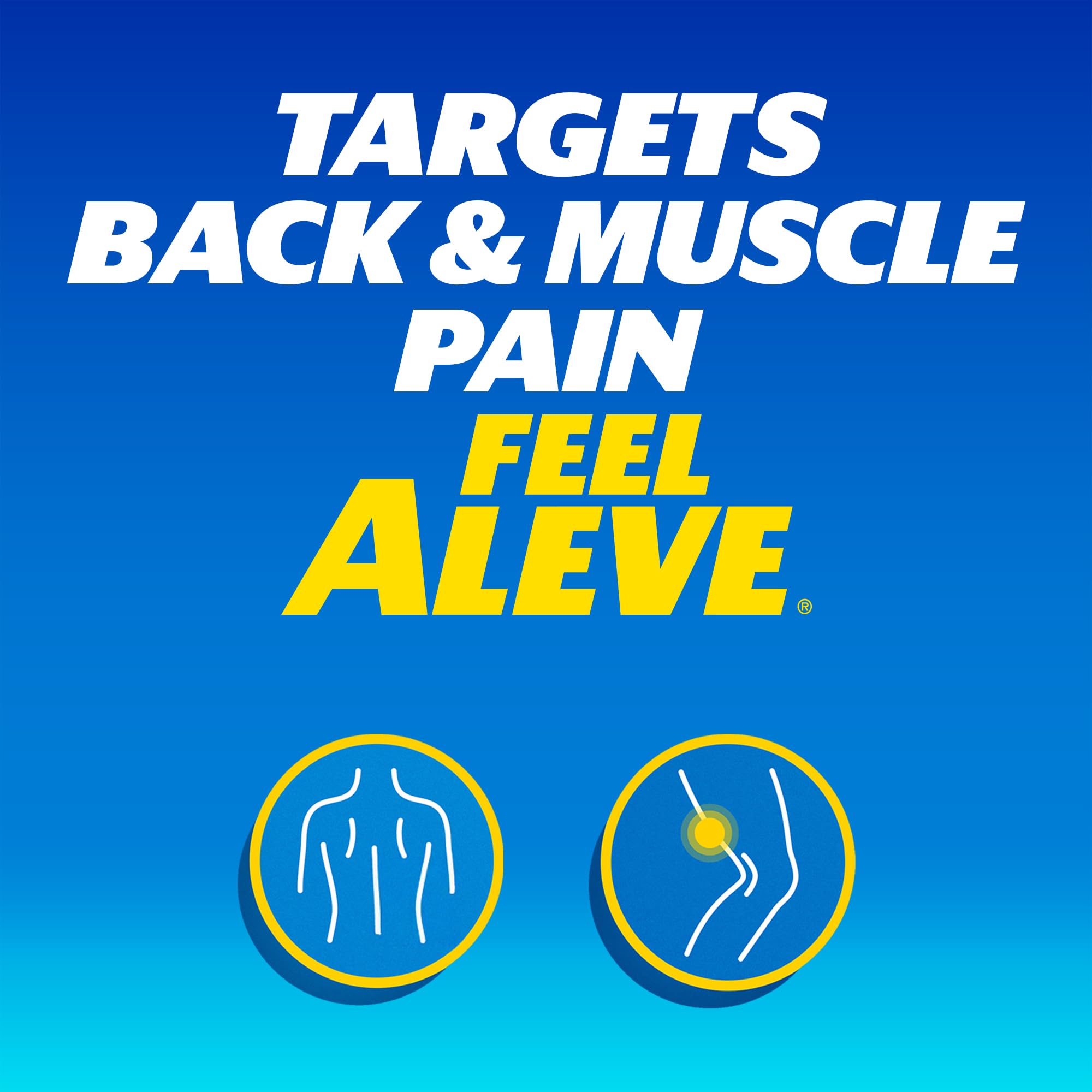 Aleve Back & Muscle Pain Relief Naproxen Sodium Tablets, Pain Reliever & Fever Reducer, Medicine for Body , 250 Count — Amazon image 2
