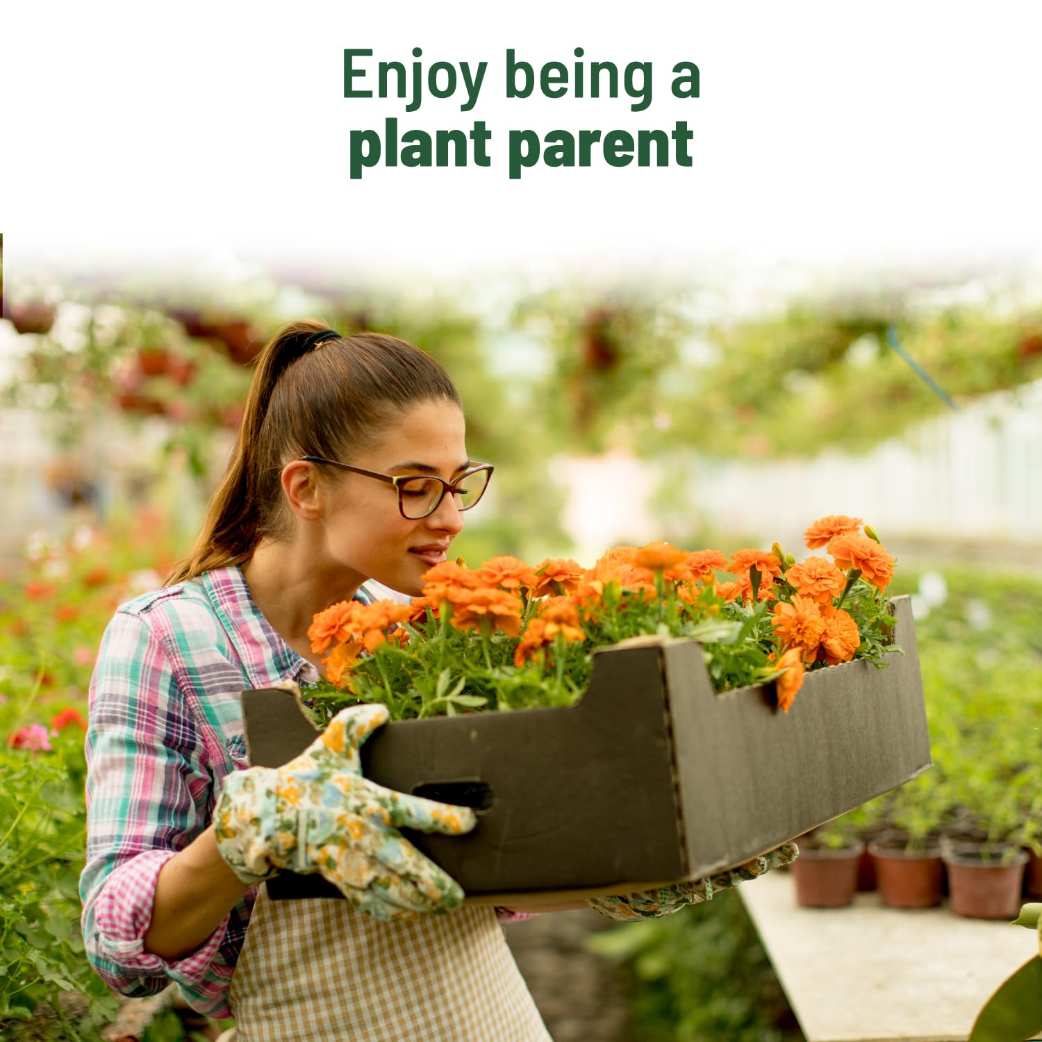 Pot and Bloom Marigold Grow Kit with Garden Essentials for Home Garden 4