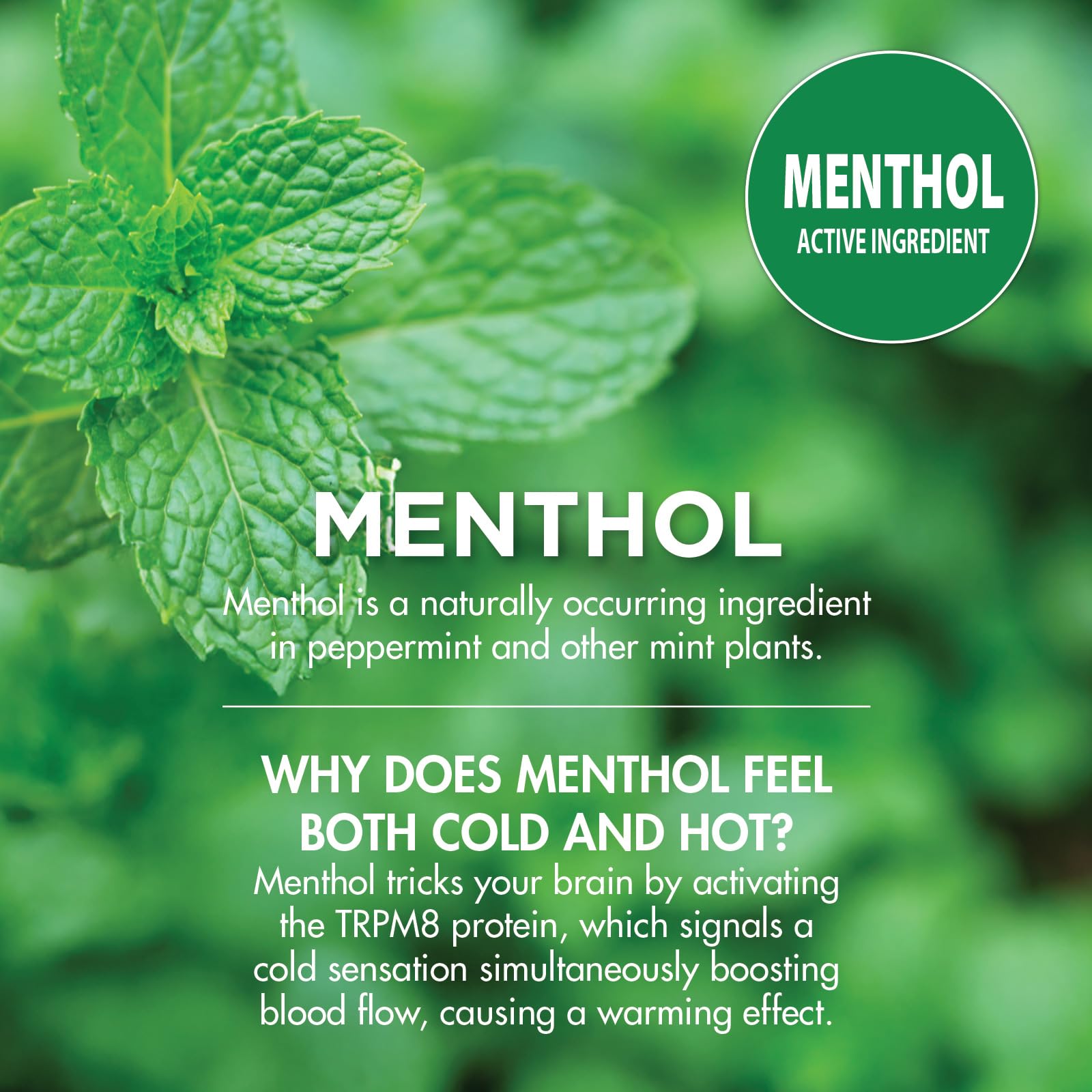 HealthWise 10.5% Menthol + Vanilla Mint Scent Pain Relief Spray — Amazon image 10