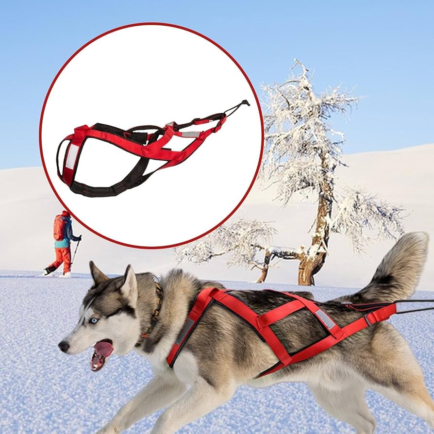 Amazon | そり犬用ハーネス、犬用牽引ハーネス, マッシングハーネス