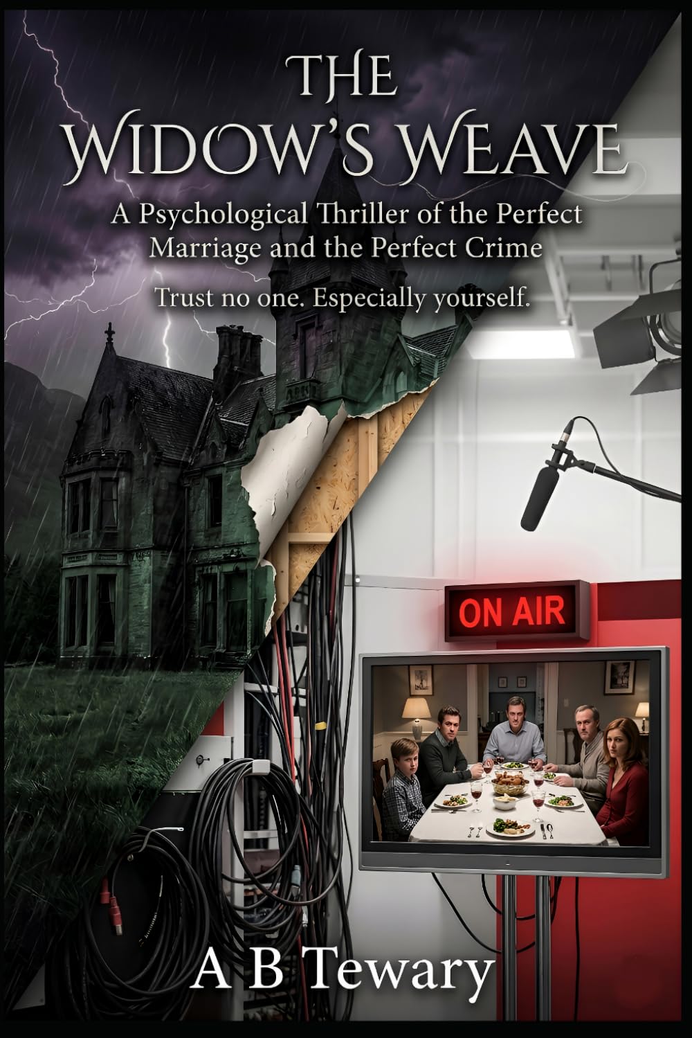 The Widow’s Weave: A Psychological Thriller of the Perfect Marriage and the Perfect Crime (The Ink and Shadow Series)