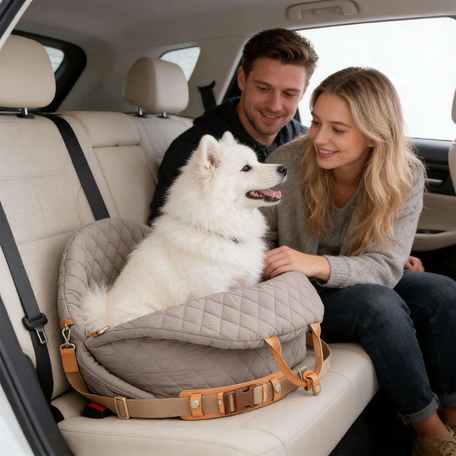 Siège Auto pour Chien Sangle réglable imperméable | Siège auto pour petit chien et transporteur pour camion, SUV, auto, /arrière, chiot, , chat, petits animaux,