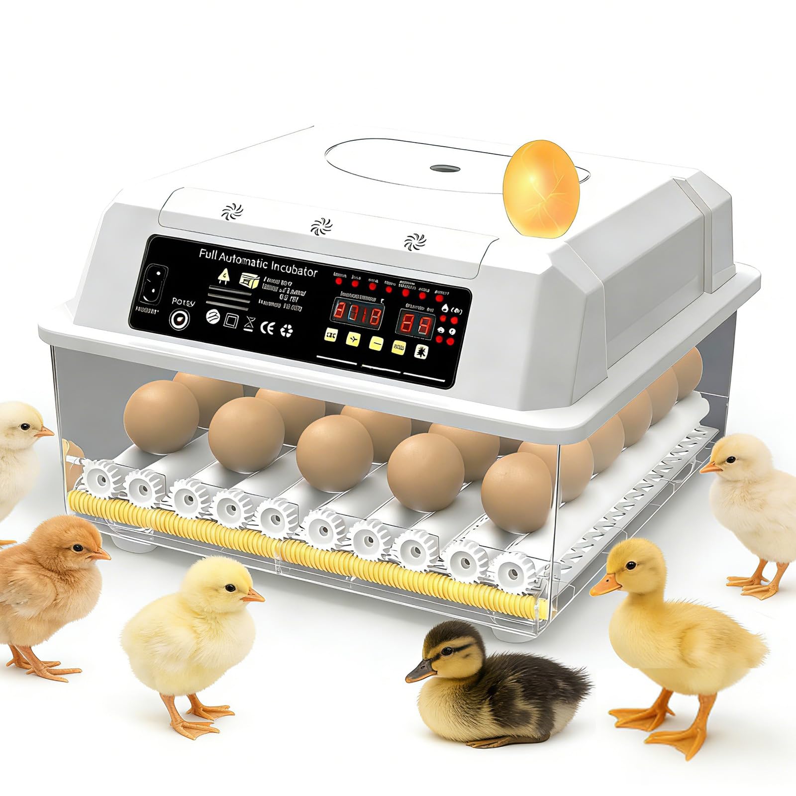 Incubadora De Huevos Con Paletta, Termostato Digitale E Controllo Dell'umidità, Visione Chiara A 360° - Per Far Schiudere Uova Di Pollo, Anatra E Quaglia A Casa, In Fattoria O A Scuola Nine