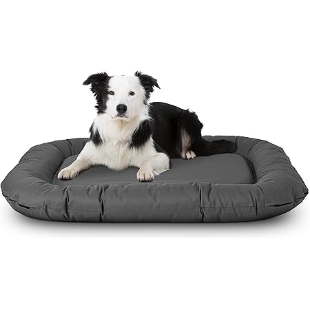 tough durable dog beds