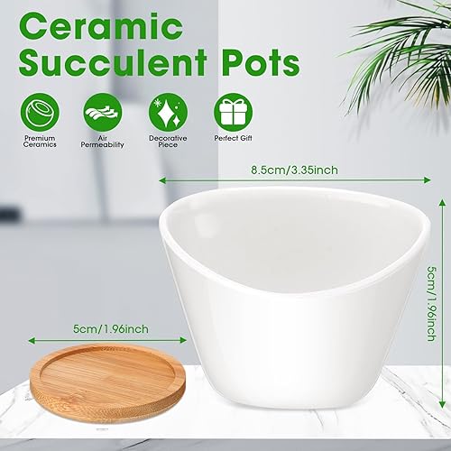 Miniatura 2 de Domensi Macetas para suculentas a granel, 24 piezas, cerámica blanca, adecuadas para decoración de interiores y exteriores, diseño de drenaje, ideal