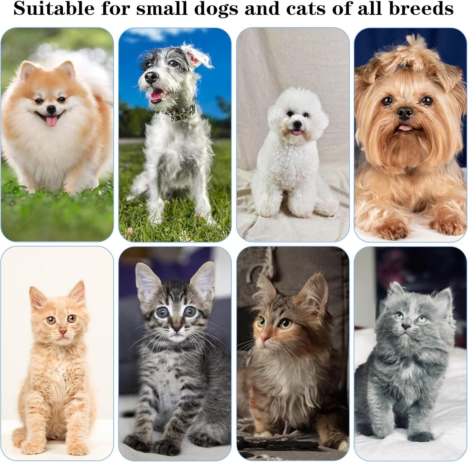 Paquete de 2 cepillos de dientes suaves para mascotas pequeñas, mini cepillo de dientes para perros y gatos con cerdas de nailon suave, cepillo de dientes manual portátil para cachorros