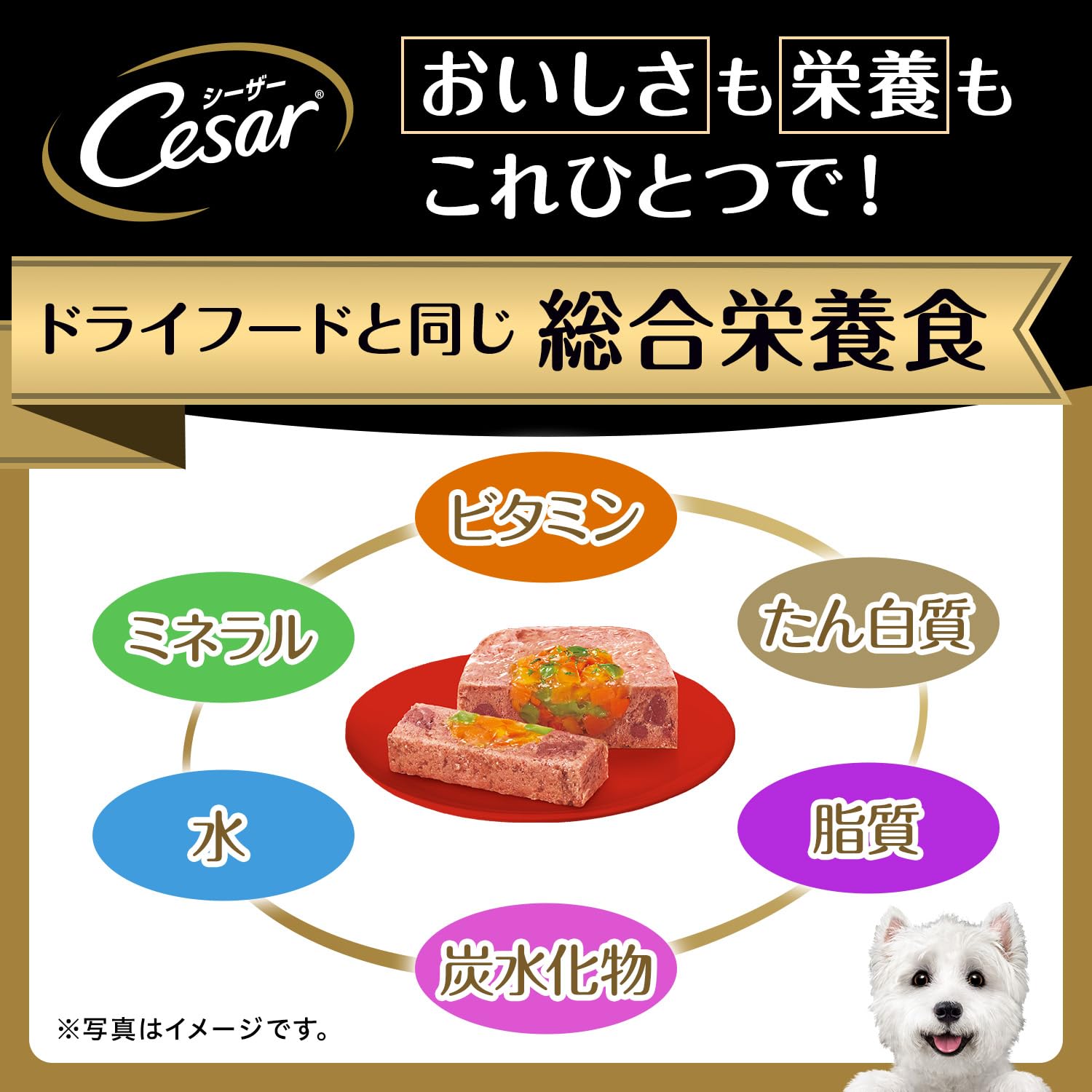 Amazon.co.jp: ［お試しサイズ］シーザー ドッグフード おうちレシピ