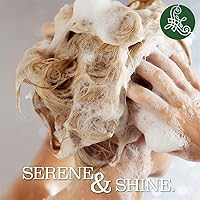 Vista 6 de Luseta Tea Tree Mint Shampoo and Conditioner for Hair with Lavender, Tea Tree and Peppermint Oil Clarifying Shampoo and Conditioner, Sooth the scalp