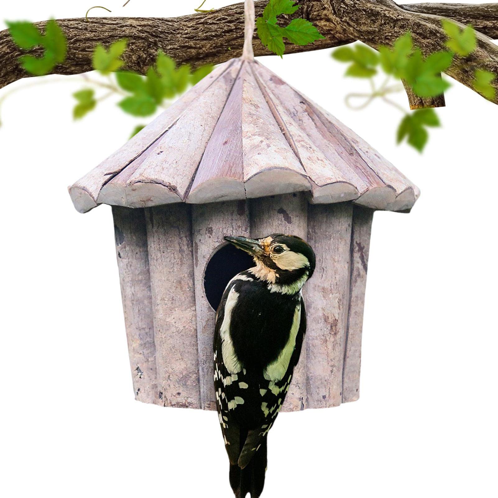 BEAFACE Nido decorativo per uccelli da giardino,casetta per uccelli sospesa, decorazione artigianale,adatta per la decorazione di cortili/patii,verde | Leroy Merlin
