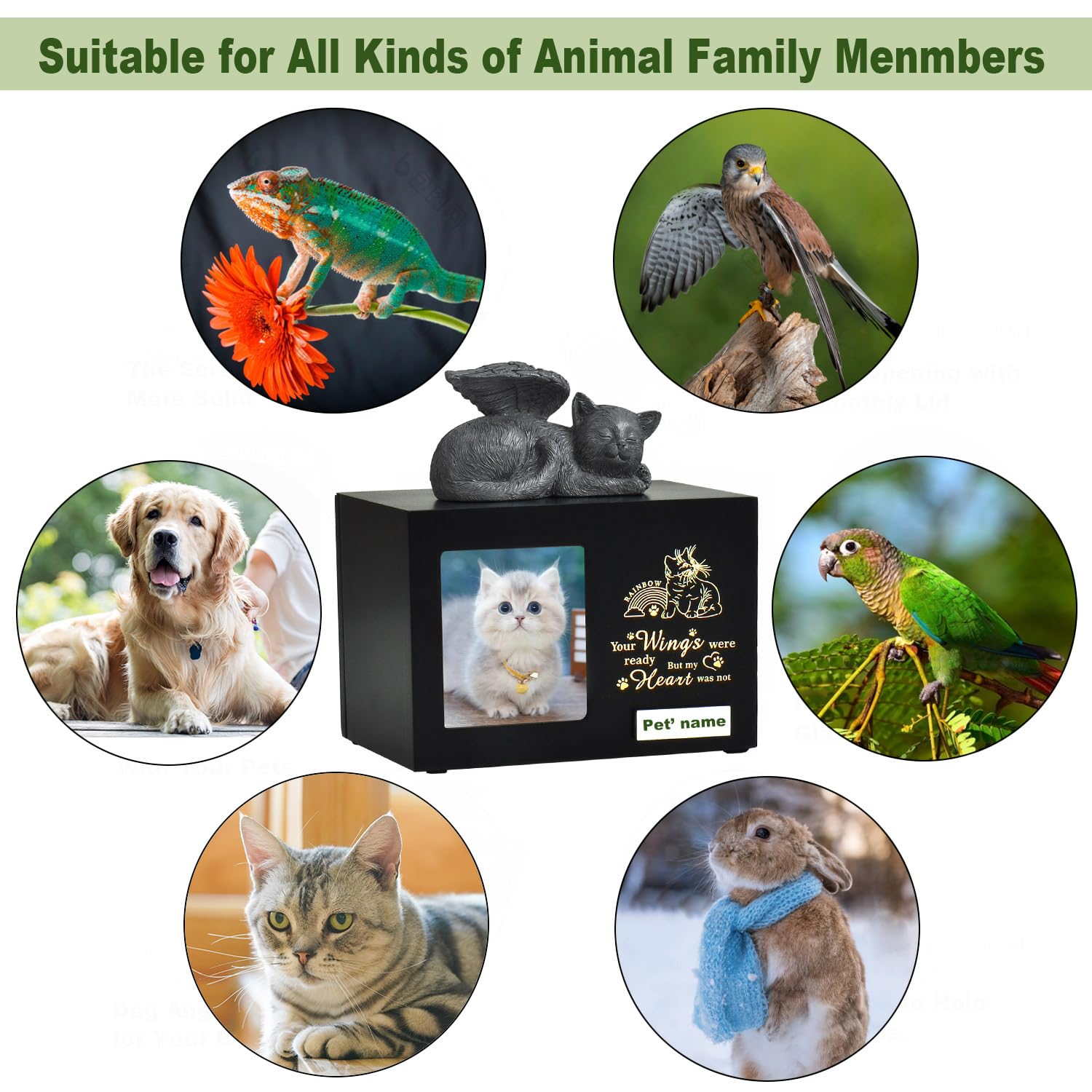 Urne per gatti personalizzate di woodurn in legno nero con foto, scatola per ceneri di animali domestici con capacità di 175 pollici cubi