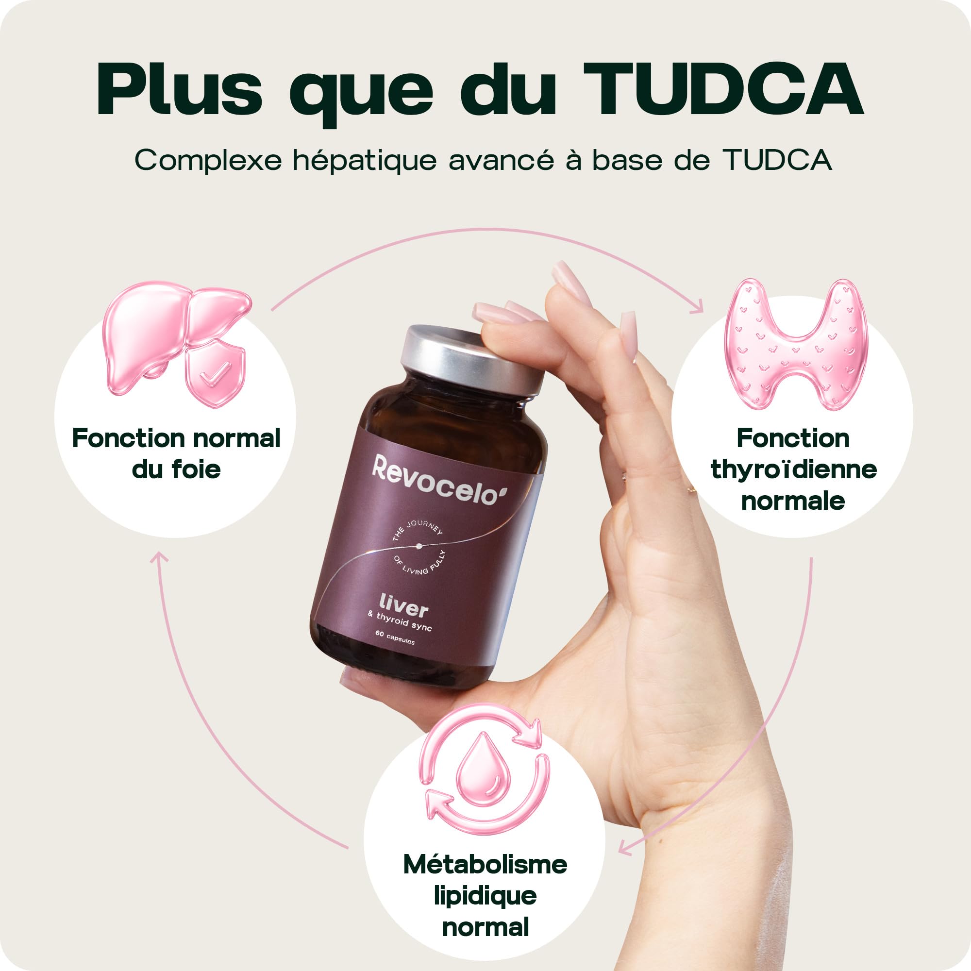 TUDCA 300 mg – Complexe Foie & Thyroïde | Avec Chardon-Marie, Choline, Glutathion Liposomal & Sélénium, 60 Gélules, Fabriqué dans l’UE