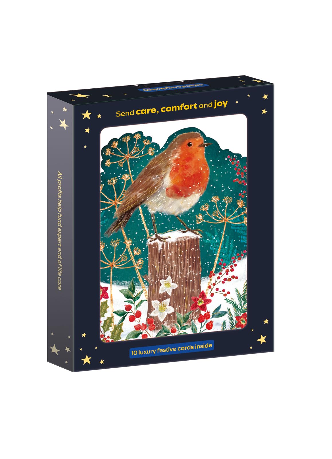 Marie Curie Charity Luxury Robin Christmas Cards - 10 Pack with envelopes