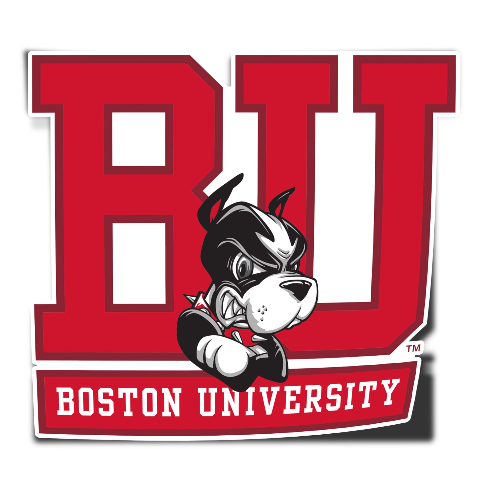 Desert Cactus Boston University Terriers BU Vinyl Decal Laptop Water Bottle Car Scrapbook Sticker (IND 1)