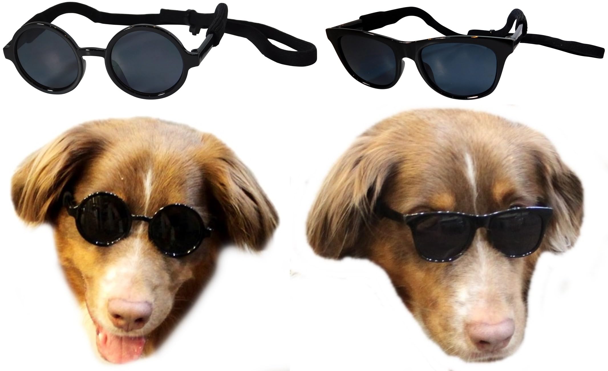 Lunettes de soleil rétro et rondes pour chien lot de 2 montures noires