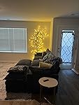 Review Image by Amazon Customer