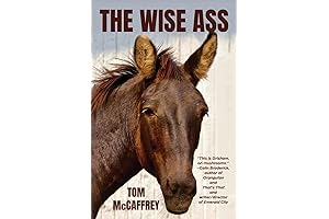 The Evening Hero by Marie Myung-Ok Lee