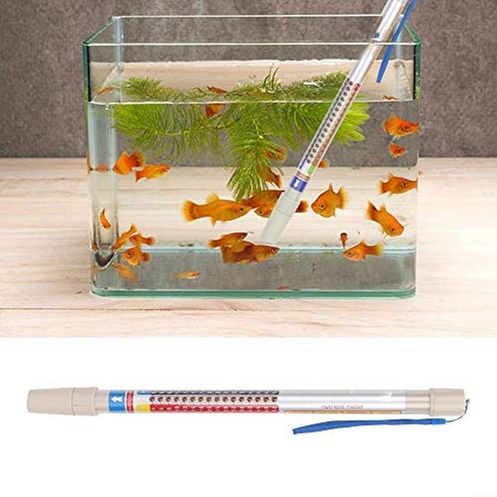 Medidor de nutrientes Prueba de calidad del agua Conductividad Medidor de nutrientes 0.4-5.2 PPM para sonda digital impermeable Cf para prueba de medidor de nutrientes en crecimiento de plantas