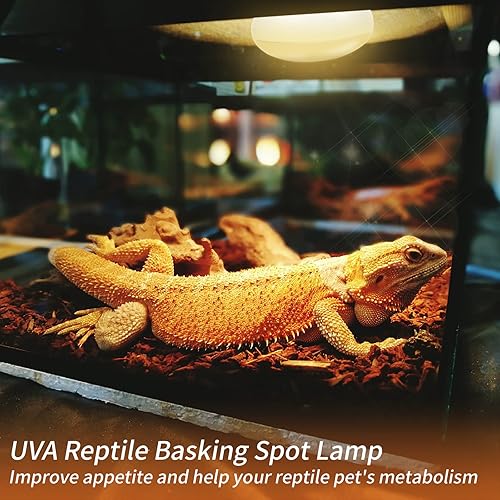 Miniatura 5 de Bombilla de calor para reptiles (3 generación sin rota), 100 W, paquete de 2 luces para reptiles y anfibios, bombilla de calor de luz diurna UVA