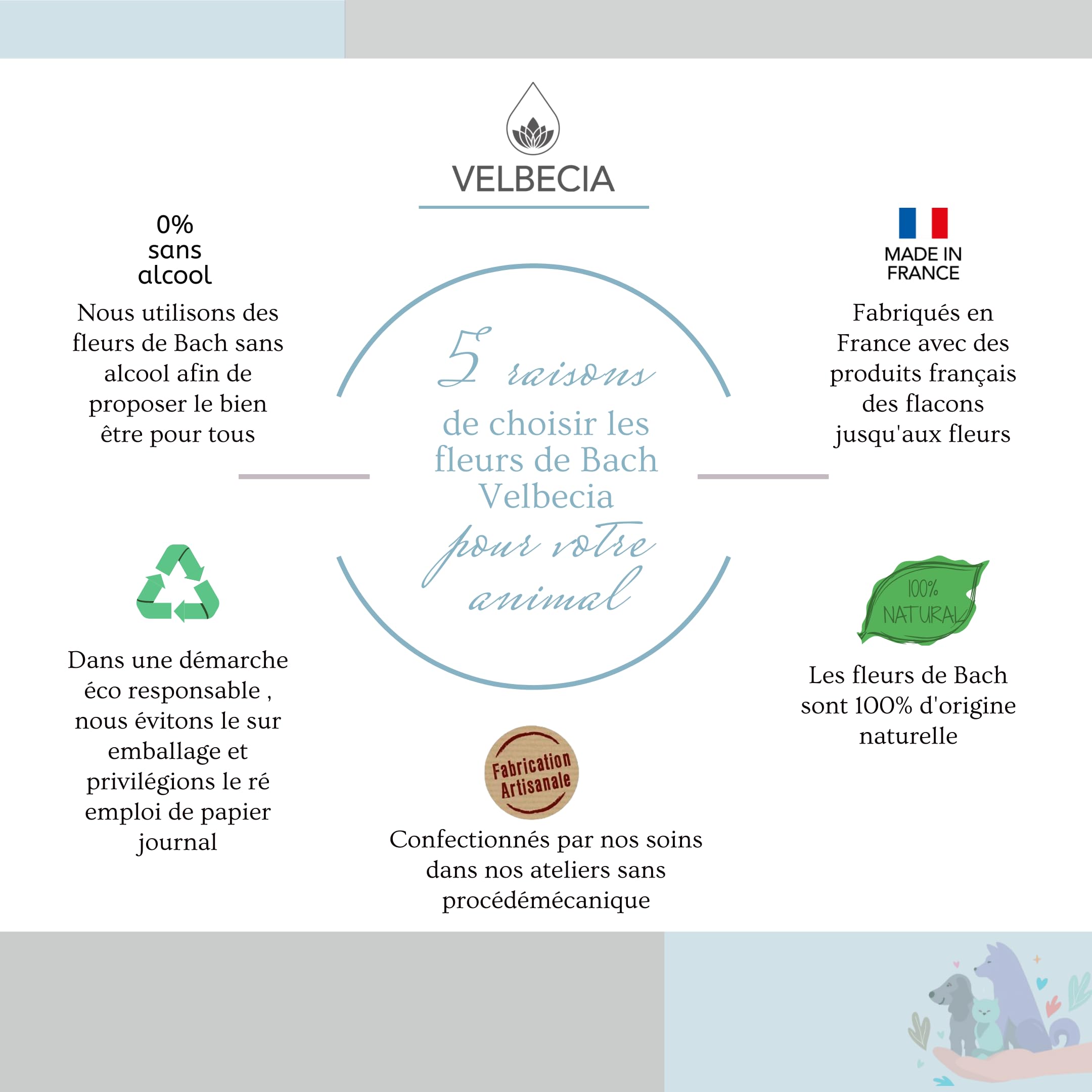 Velbecia Animal Malade en voiture 50ml +1 OFFERT Elixirs de fleurs SANS ALCOOL - Méthode du Dr Bach - Voyager plus sereinement, transport paisible, apaisé, chat, chien