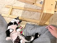 Review Image by Foster Mama Foster Mama