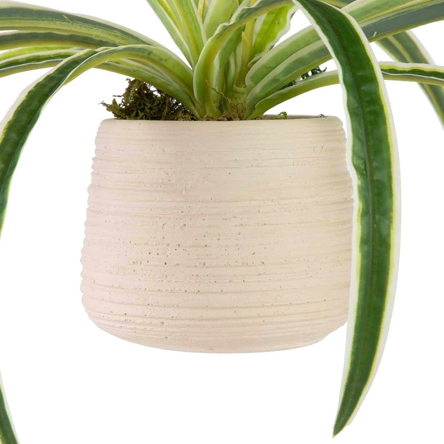 Northlight Artificial Spider Plant in Beige Ceramic Pot - 20"