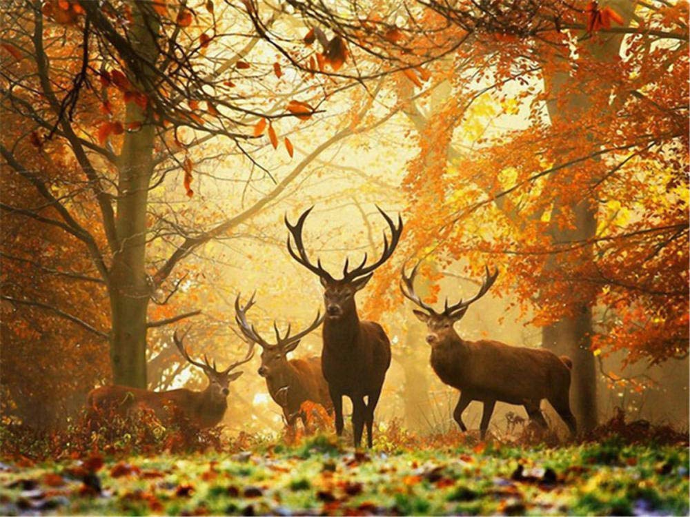 Puzzle 2000 Teile Hirsche im Wald Puzzle Für Erwachsene Und Kinder Ab 14 Jahren 70X100cm（27.55 * 39.37inch）