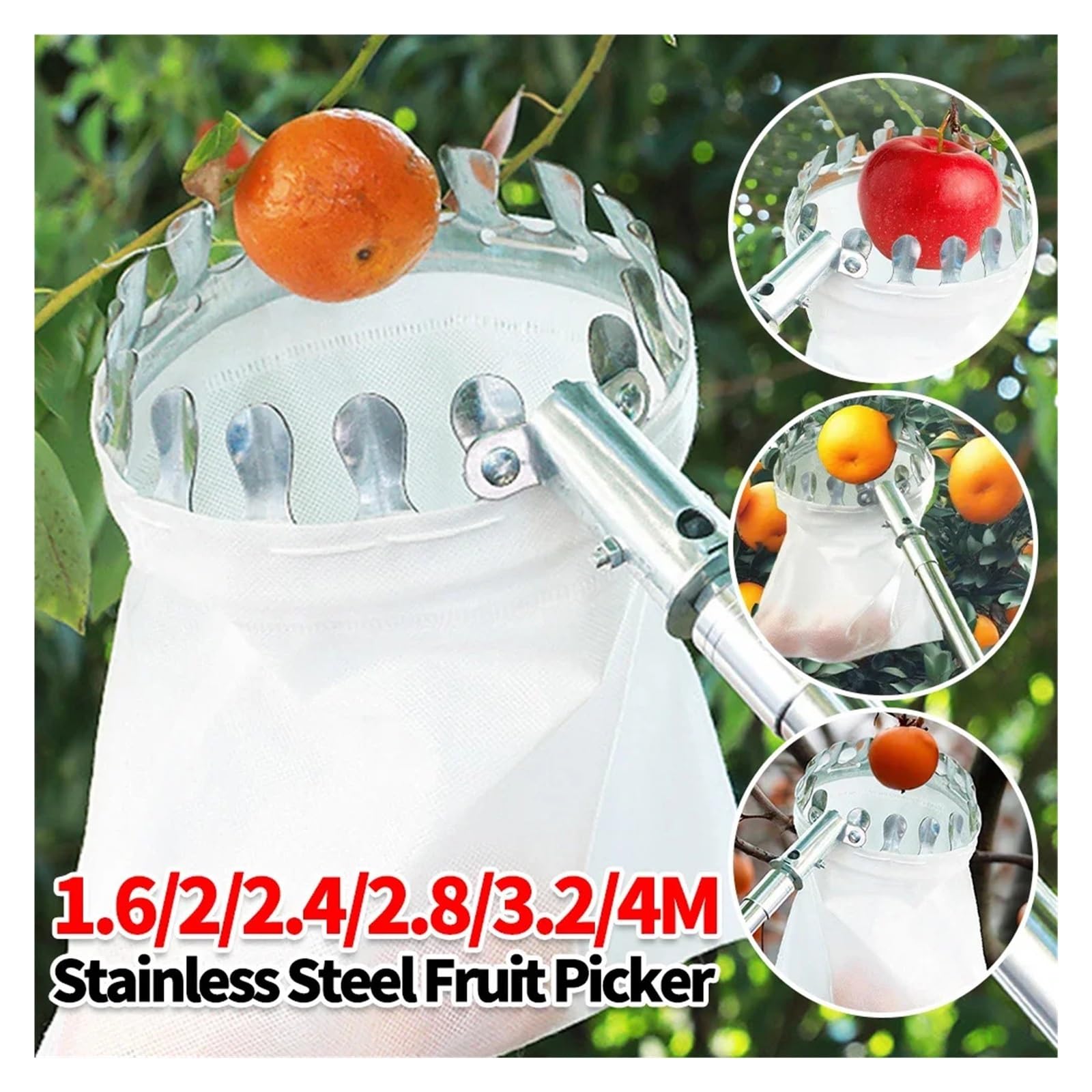 Raccoglitore di Frutta Giardino del frutteto con raccoglitrice di Frutta in Acciaio Inossidabile da 1,6-4 m | Strumento for la raccolta degli alberi alti, raccolta di raccoglitori di frutta(4M)